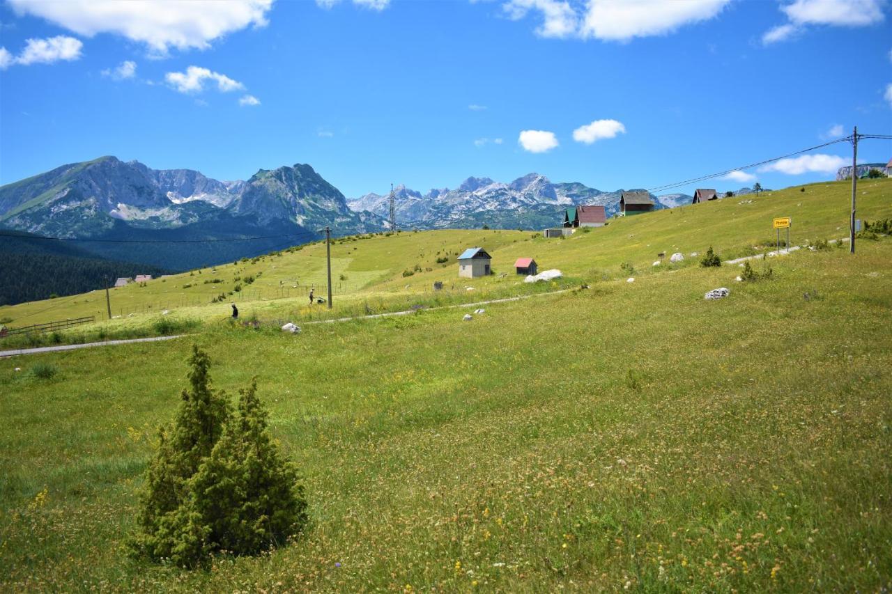 Vila Durmitor View Žabljak Exteriér fotografie